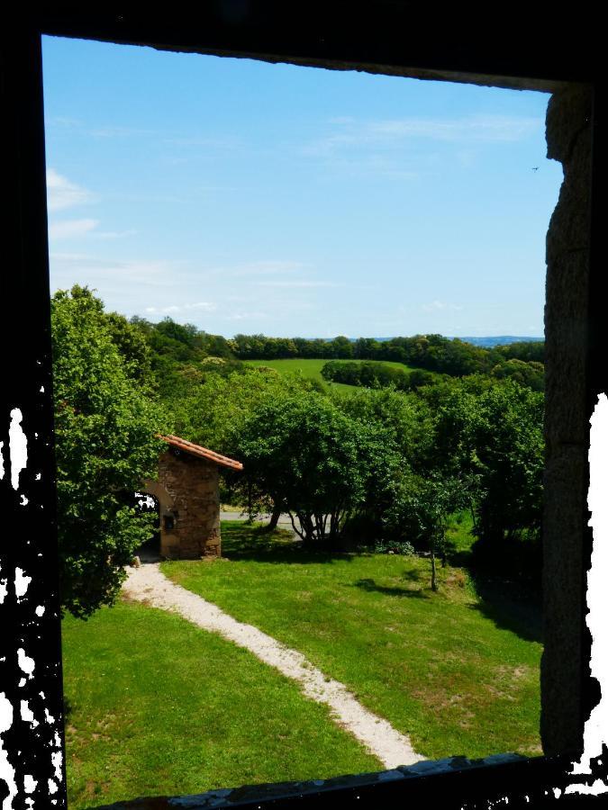 Grande Maison De Caractere En Pierres -Superbe Vue Saint-Cirgues  المظهر الخارجي الصورة